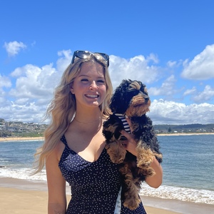 Brittany profile photo